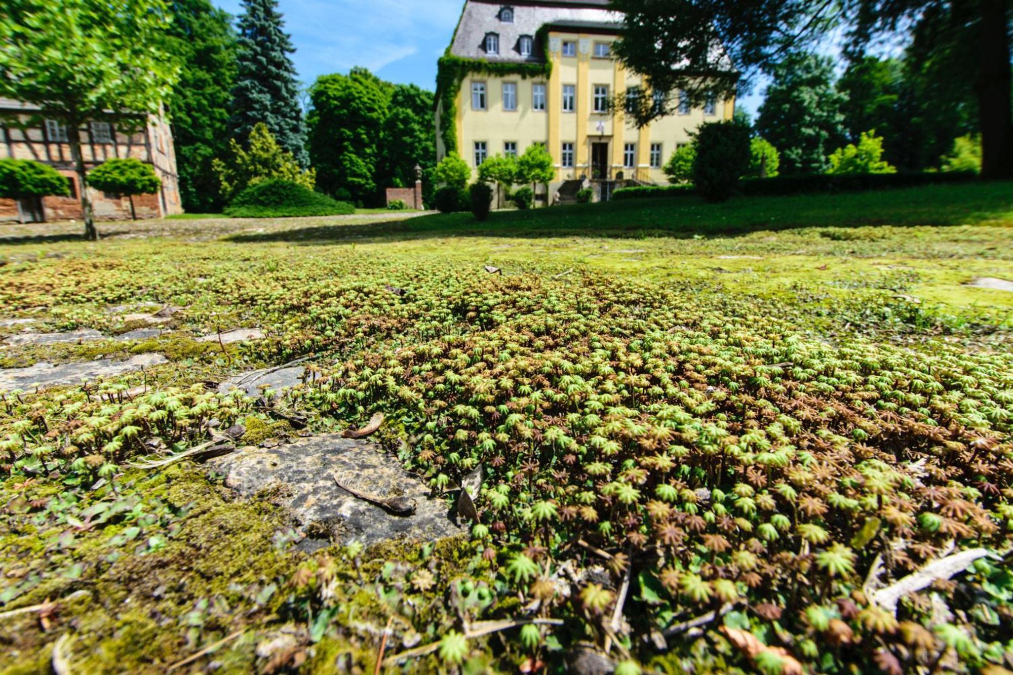 Rittergut/Gutshaus Grossgestewitz Naumburg  Bagian luar foto